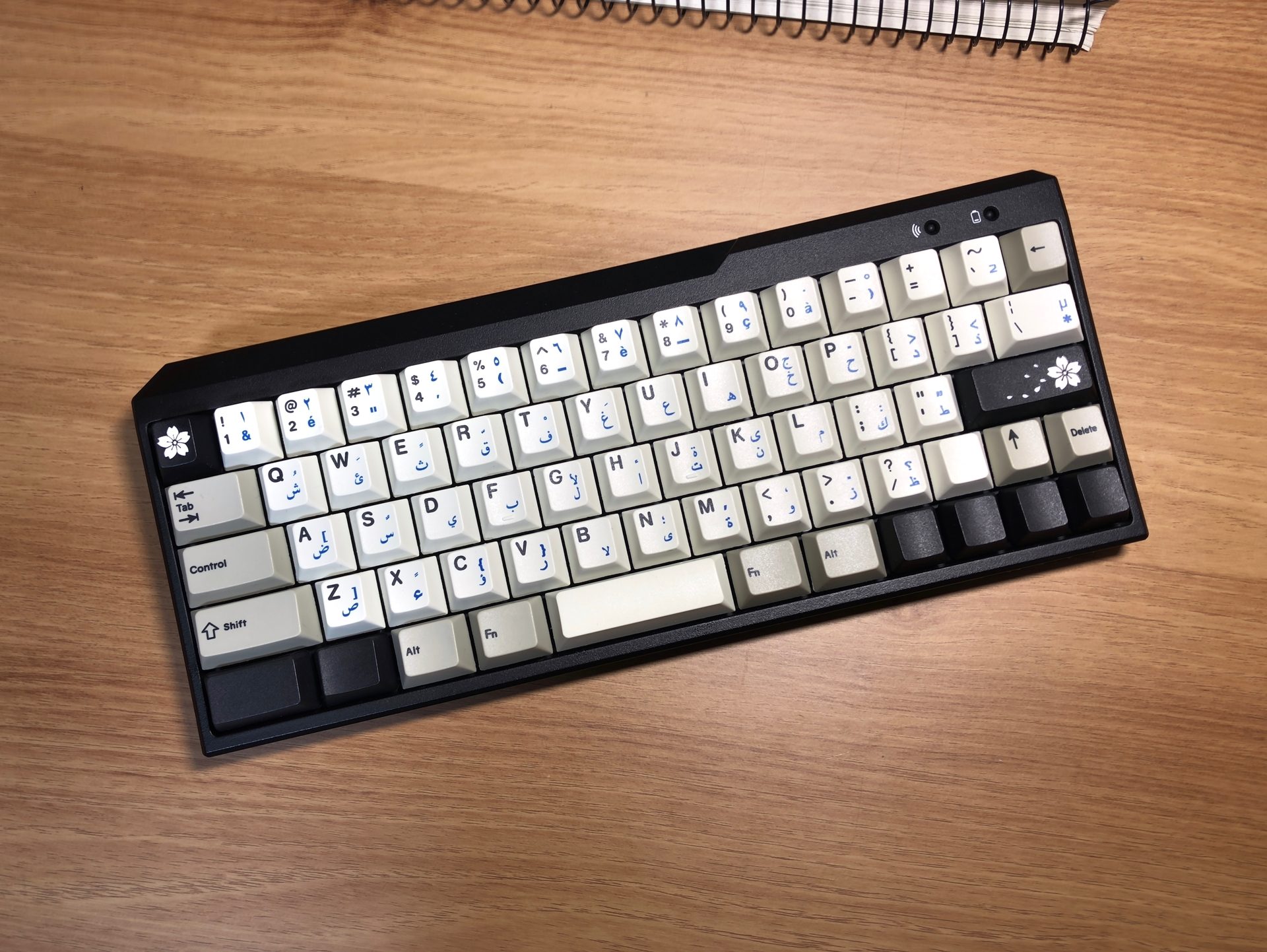 20180222_minila.jpg