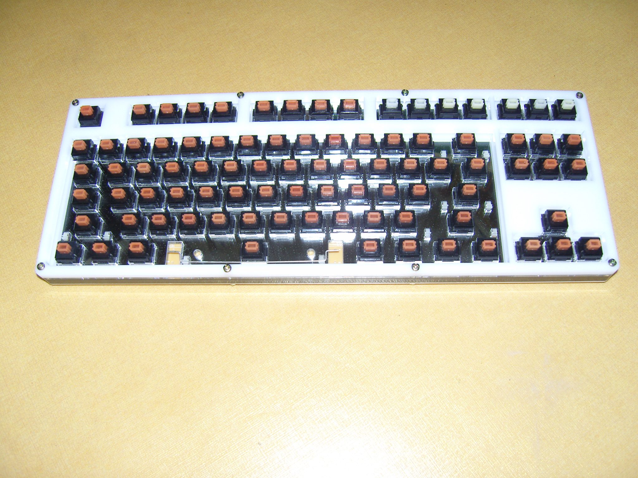 SN200513.JPG