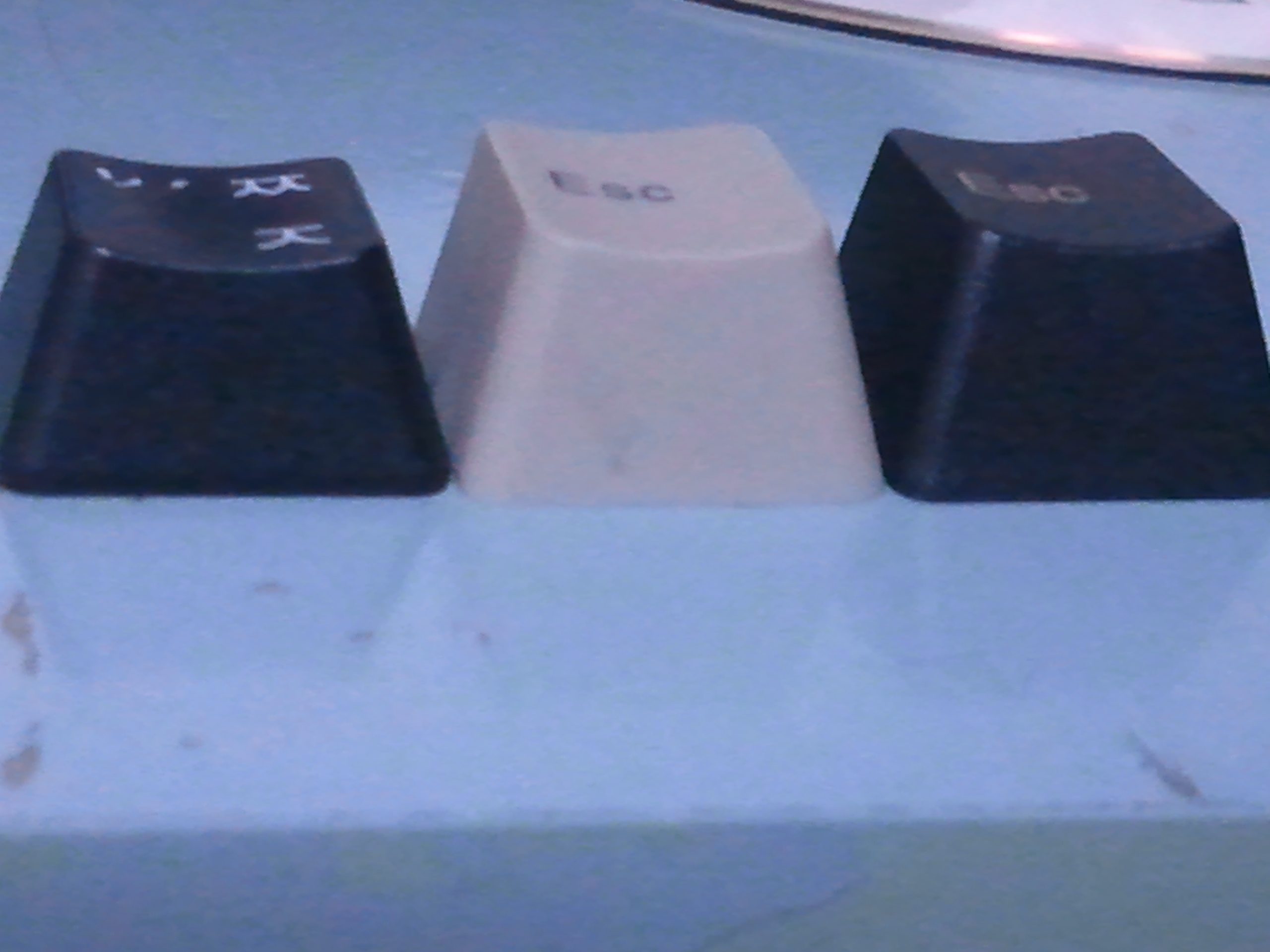 2011-01-05 18.41.47.jpg