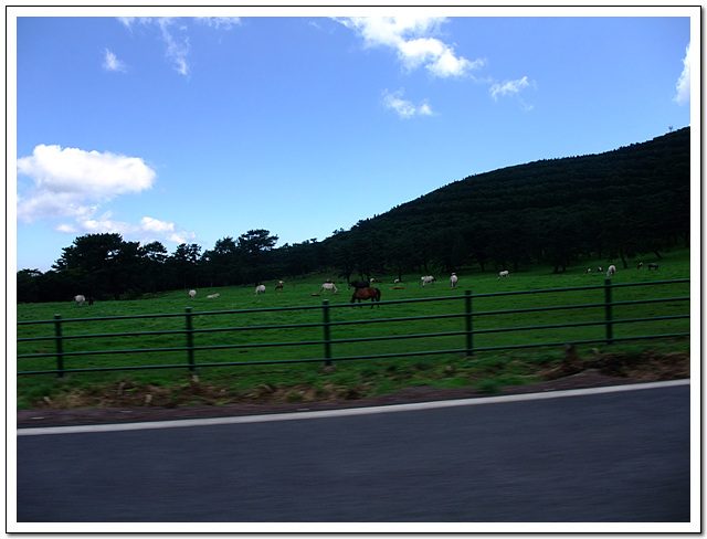 DSCF2393.jpg