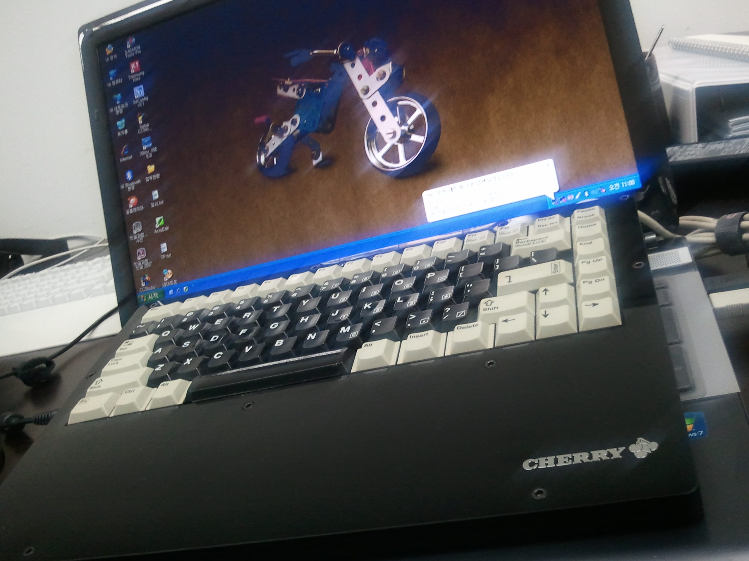 2011-03-29 11.00.51.jpg