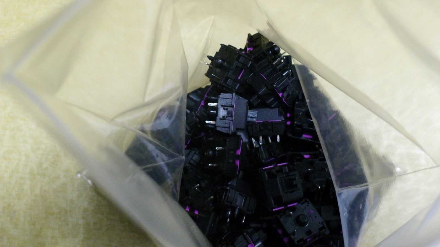 P1010613 (Custom).JPG