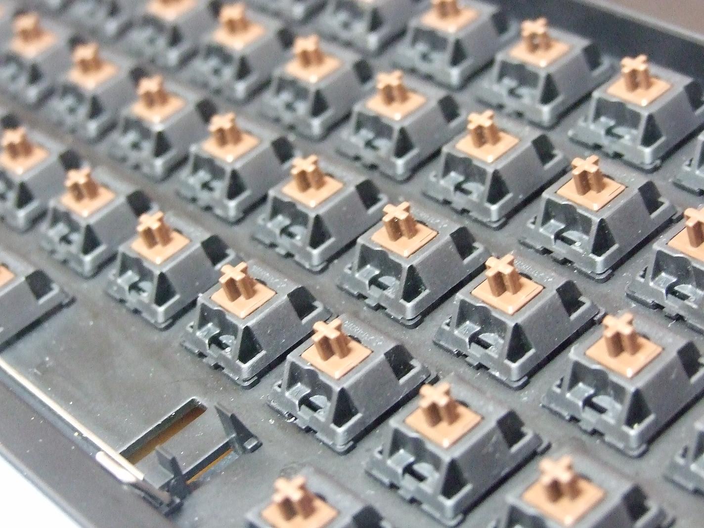 004___.JPG