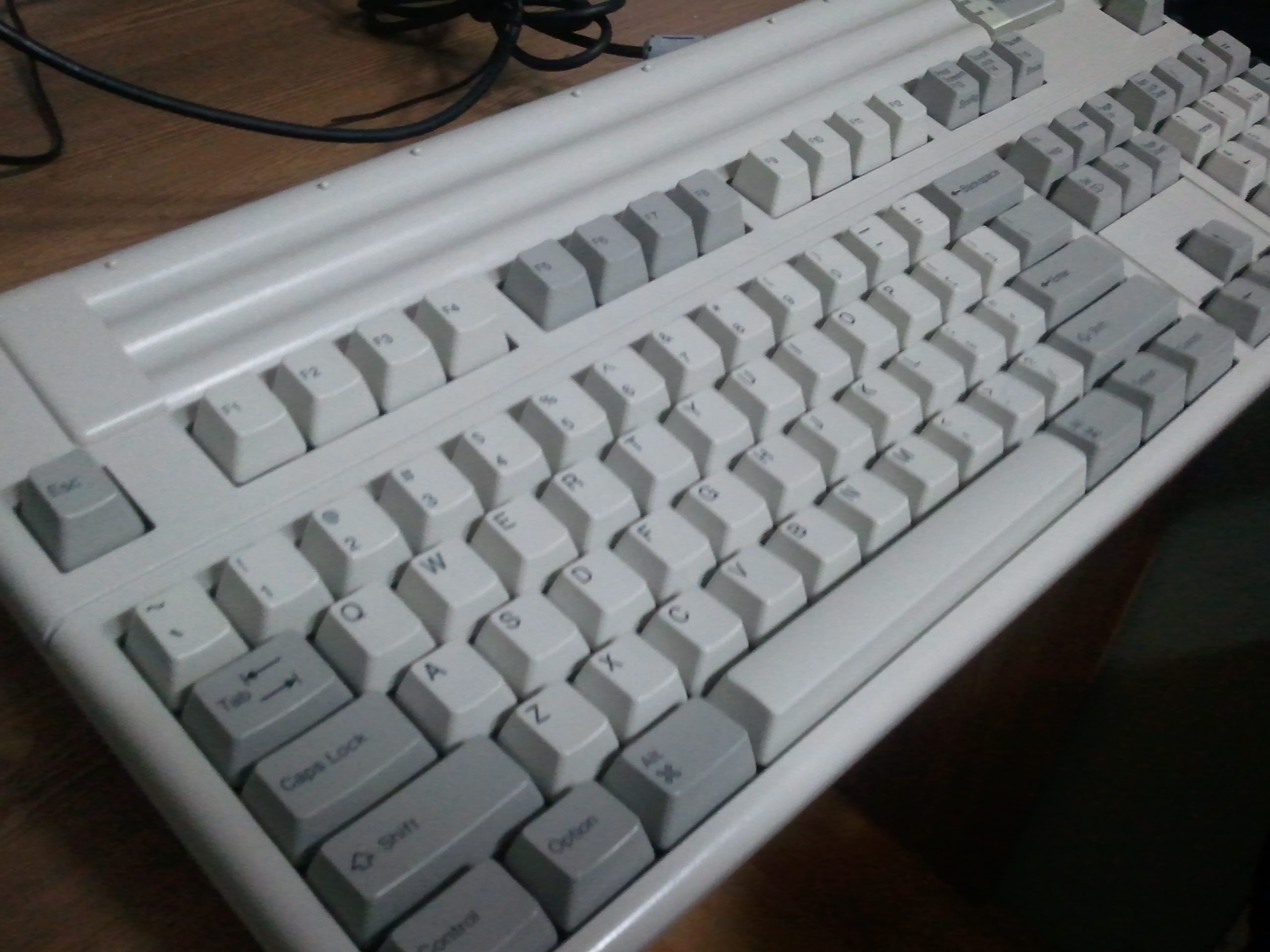 2011-02-09 01.53.46.jpg