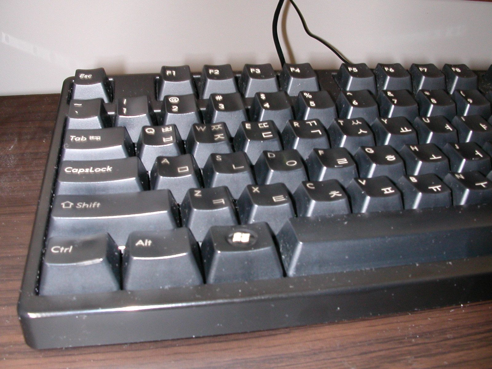 DSCN1450.JPG