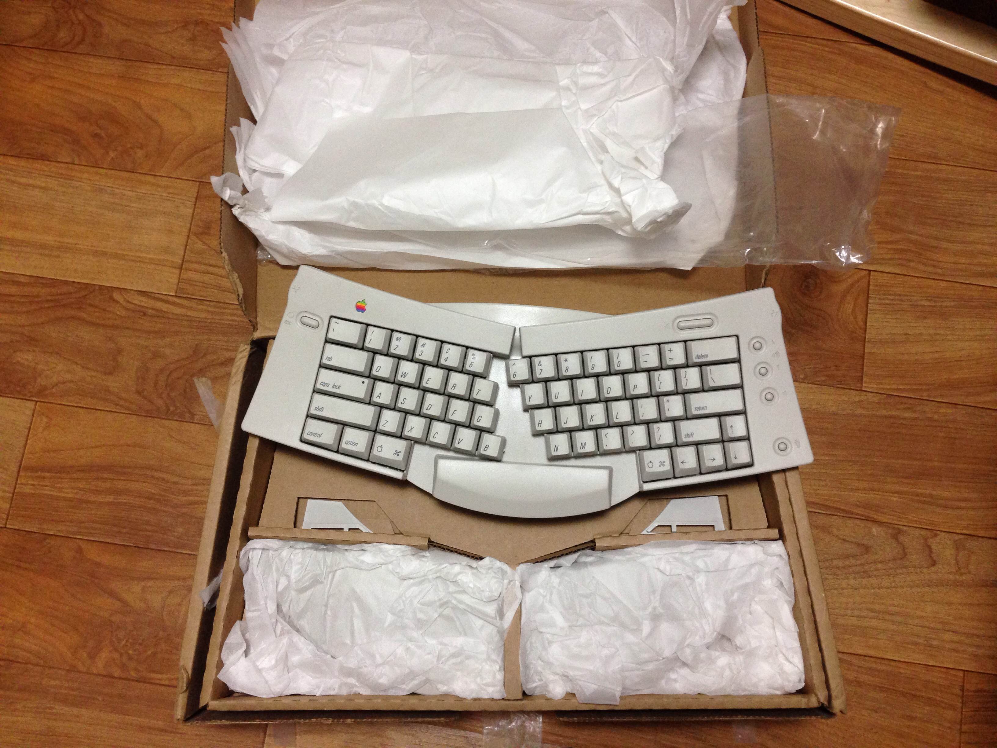 IMG_4806.JPG : Apple Standard & Adjustable