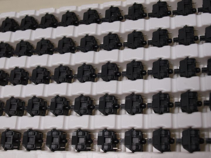 P9161168.JPG