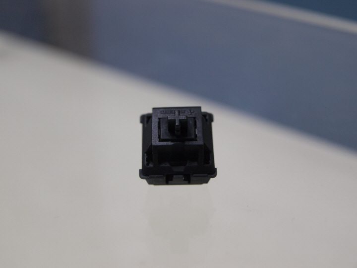 P9161173.JPG