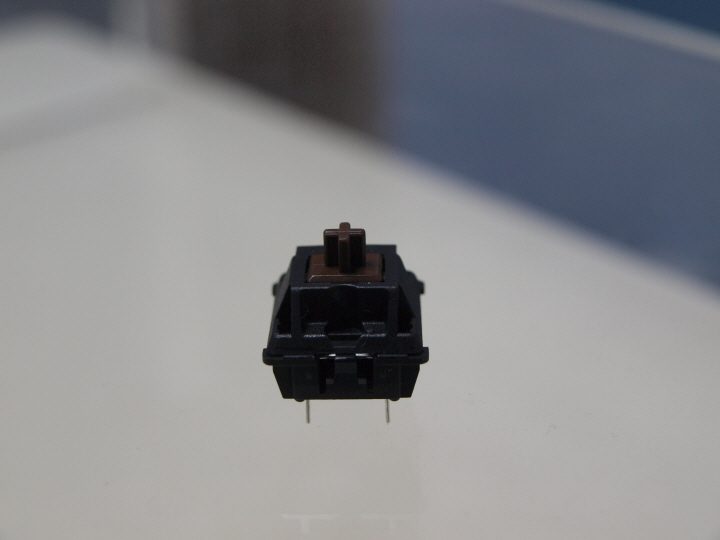 P9161179.JPG