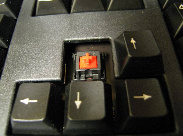 4.JPG