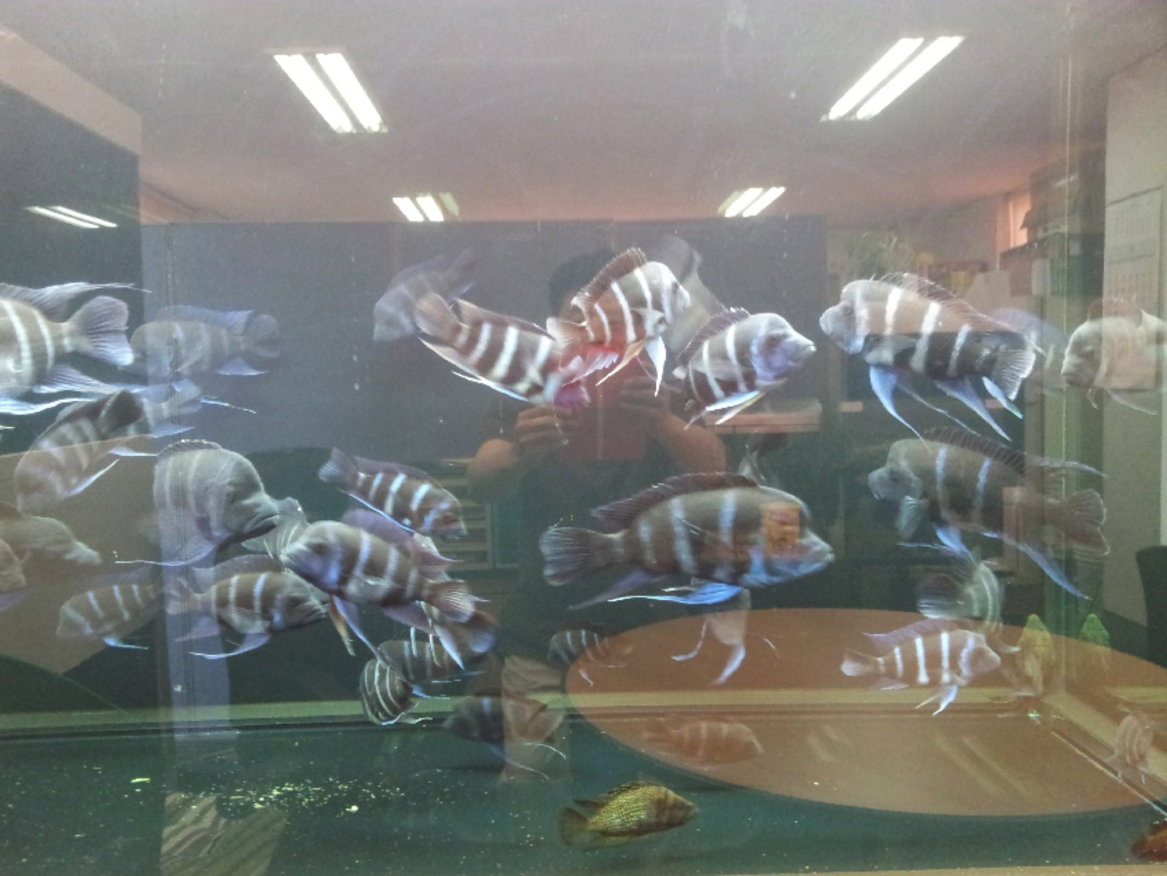 20120604_133201.jpg