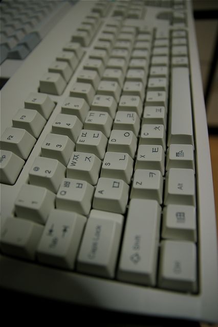 SG1S6253.jpg