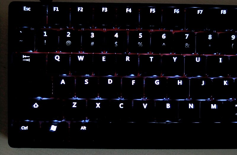 DSC_4825.jpg