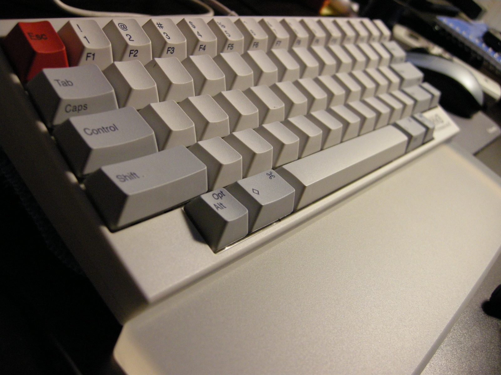 DSCN0387.JPG
