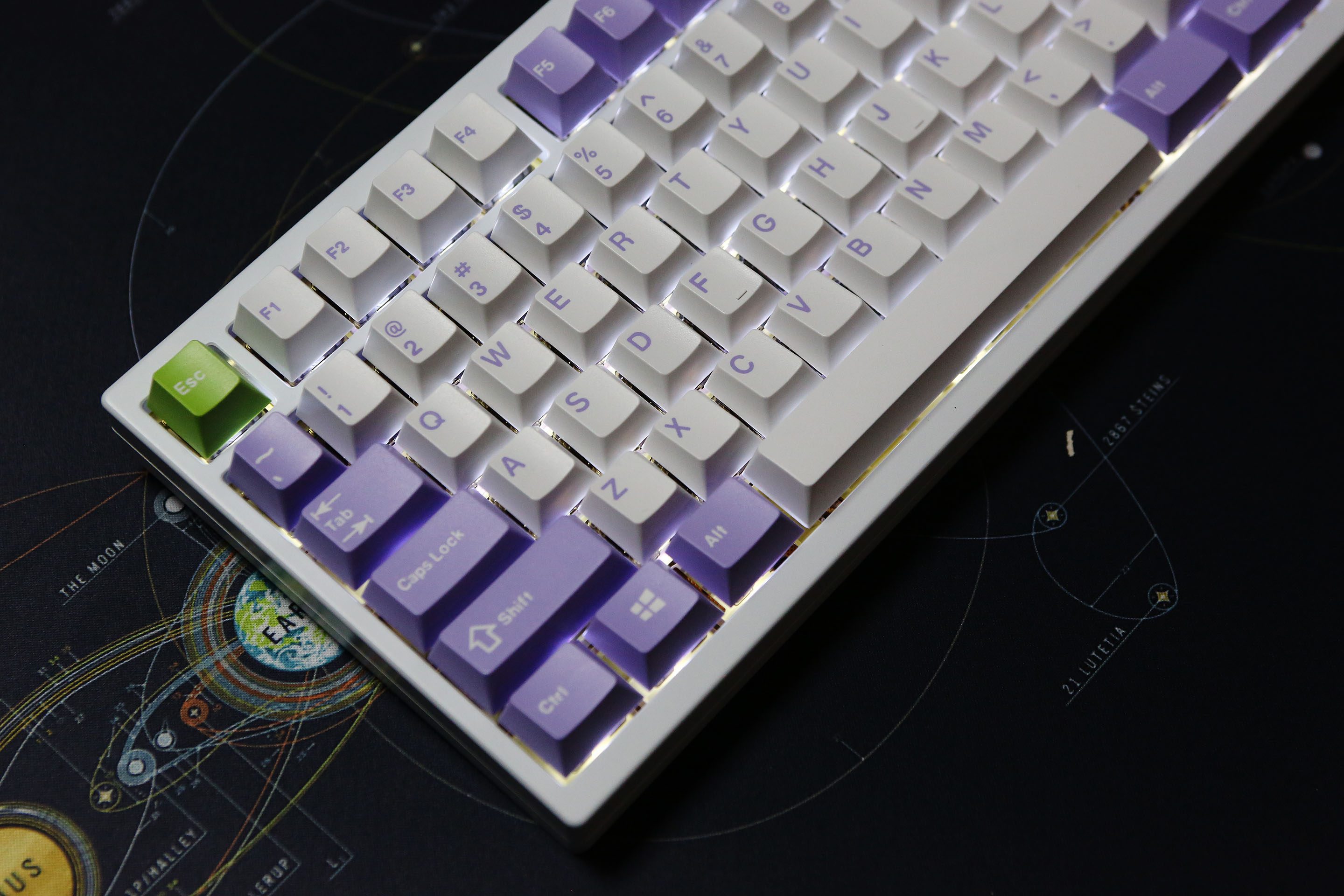 BL9A0144_ps_50%.jpg