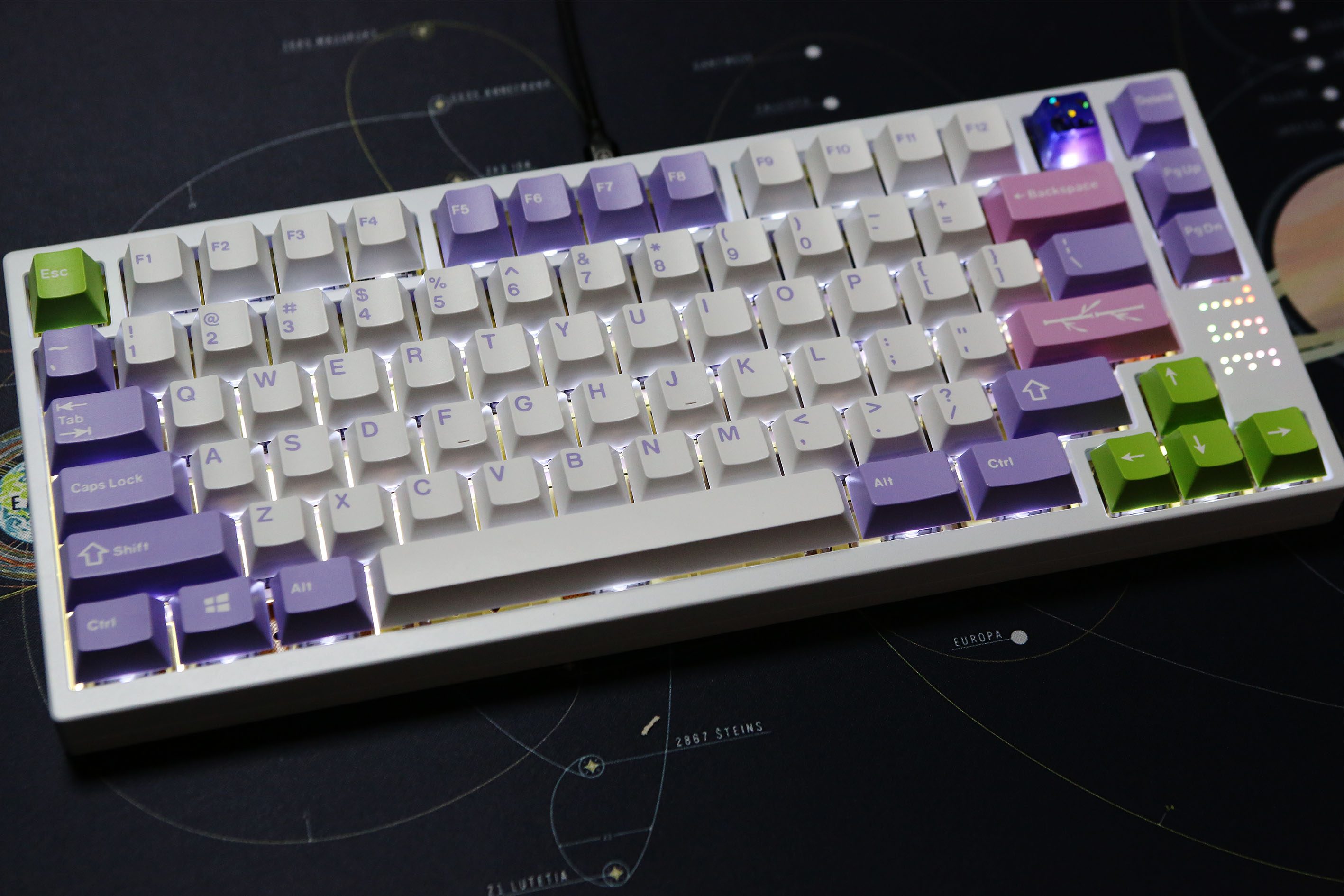BL9A0140_ps_50%.jpg