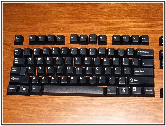 DSCF1859.jpg