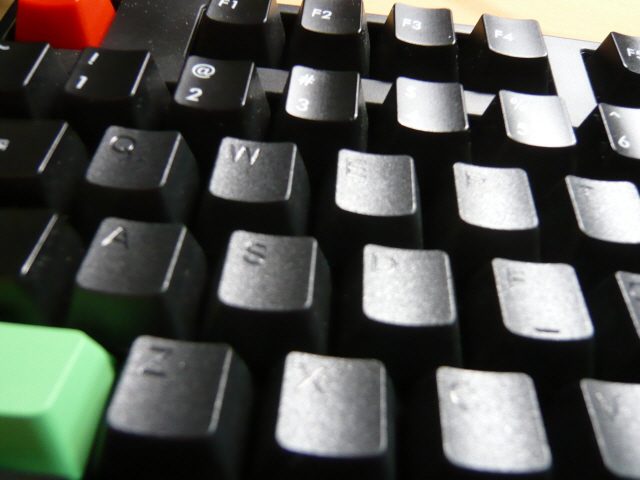 P1010895.JPG