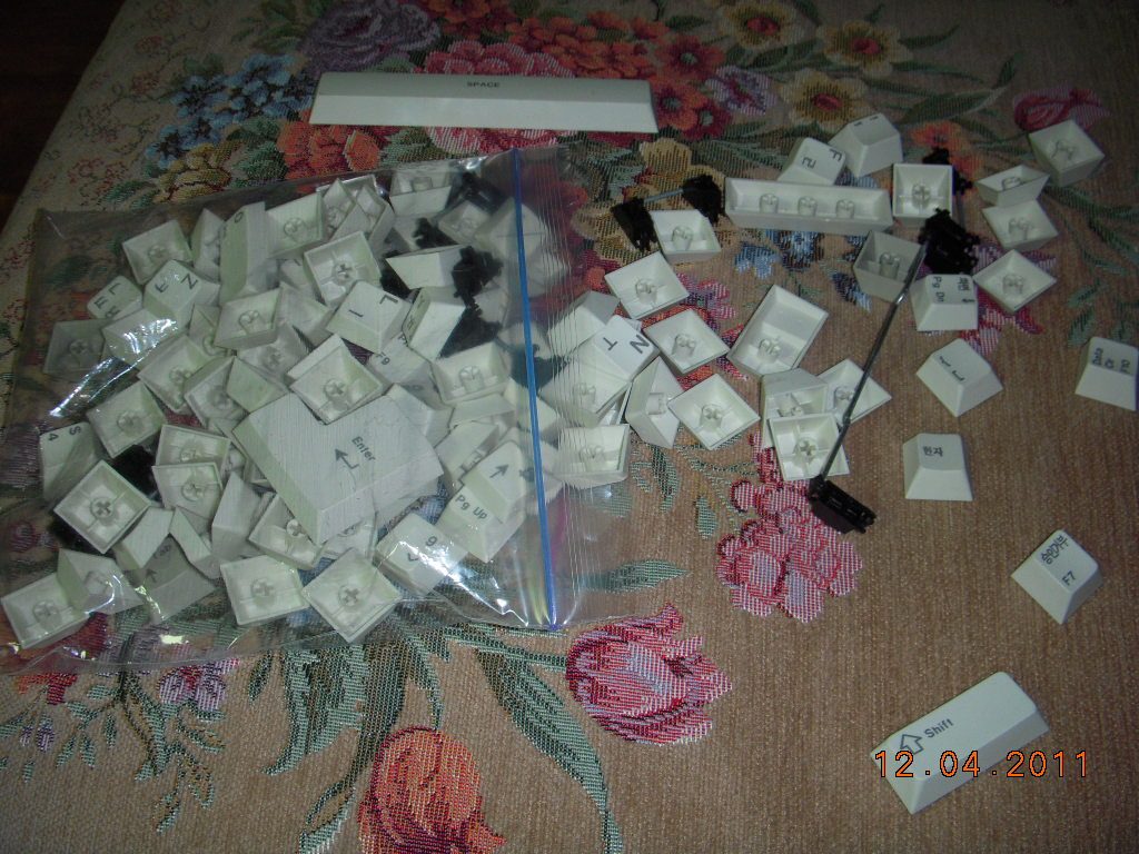 DSCN0882.JPG