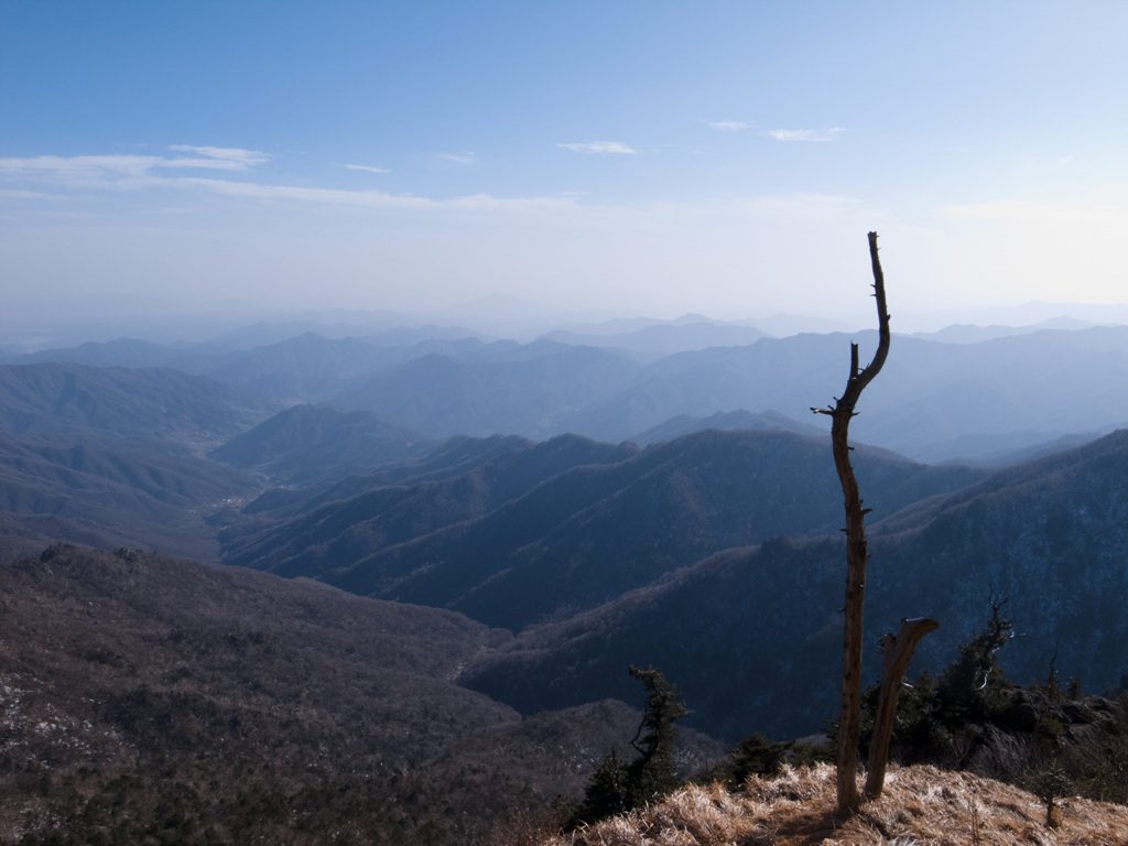 R0010709.jpg