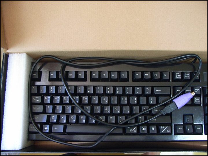 RIMG0002.JPG