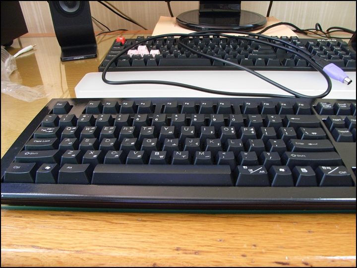 RIMG0003.JPG