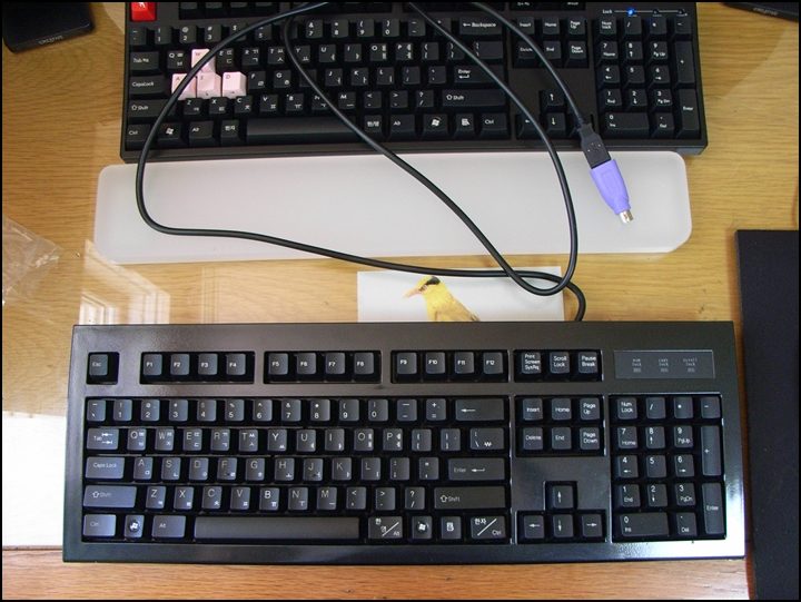 RIMG0010.JPG