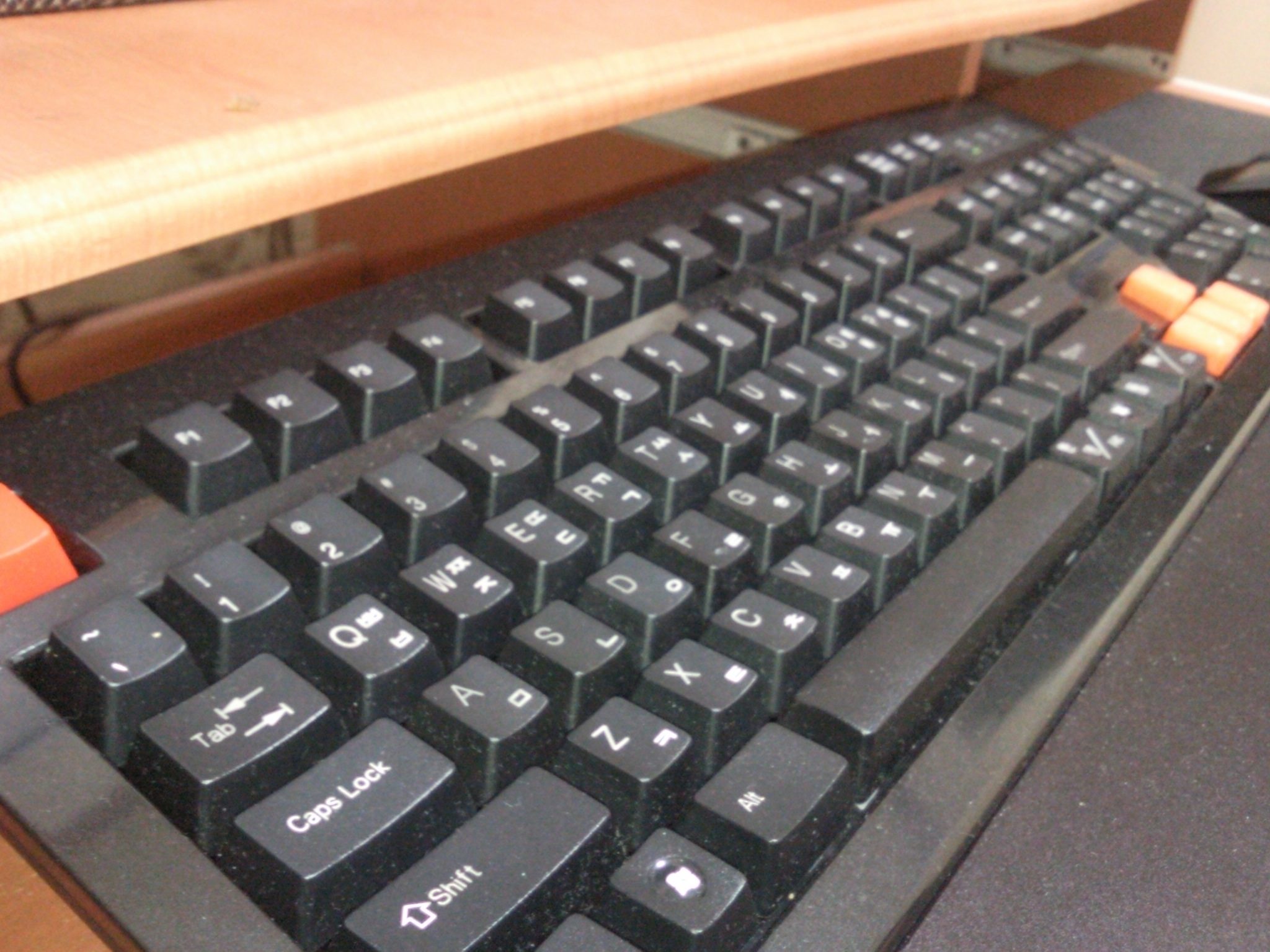 SNC00010.jpg