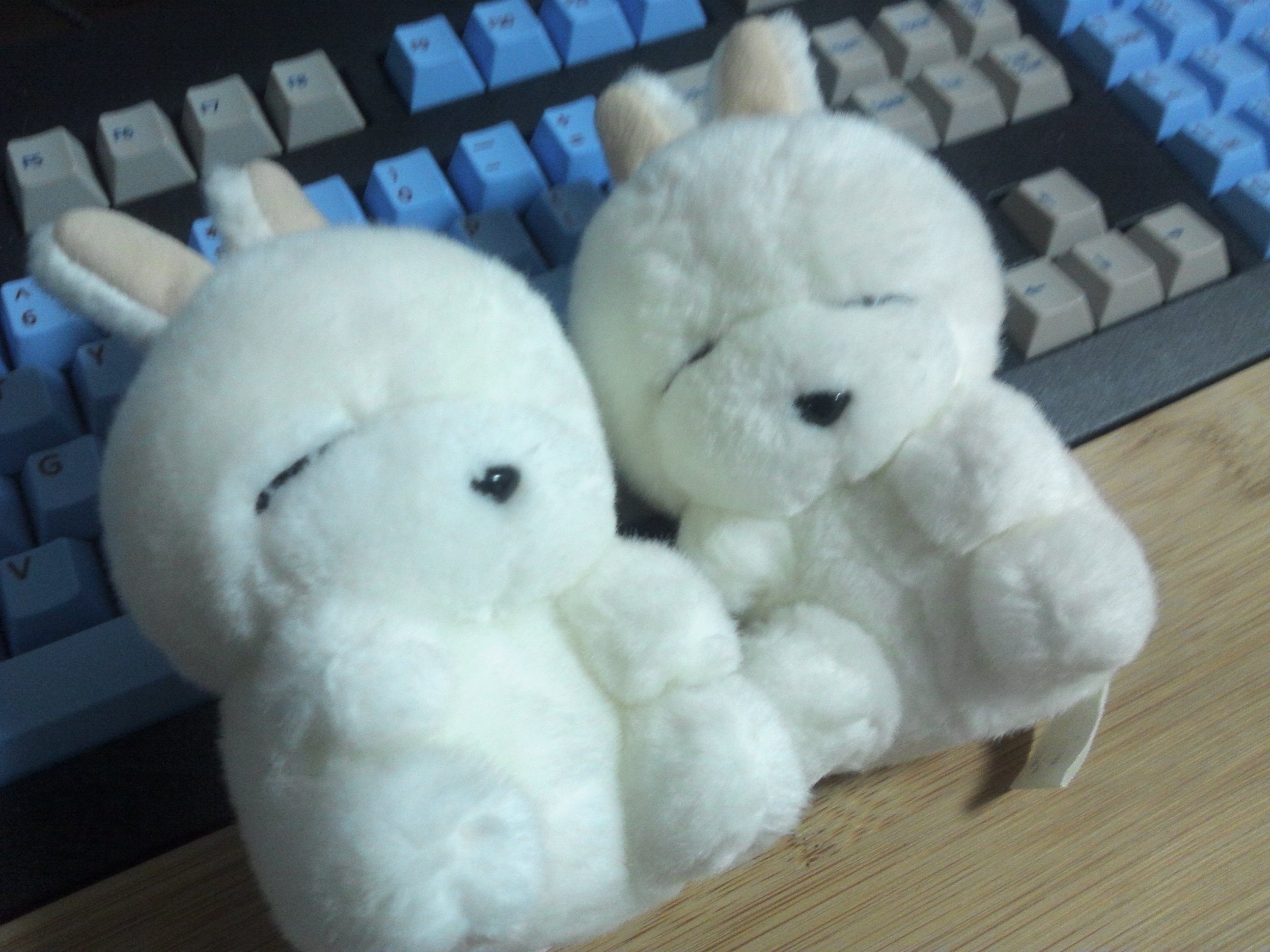 IMG_20121126_222032.jpg : 제거 올려보긴 거의 처음인듯 IMG_20121126_222032.jpg : 제거 올려보긴 거의 처음인듯