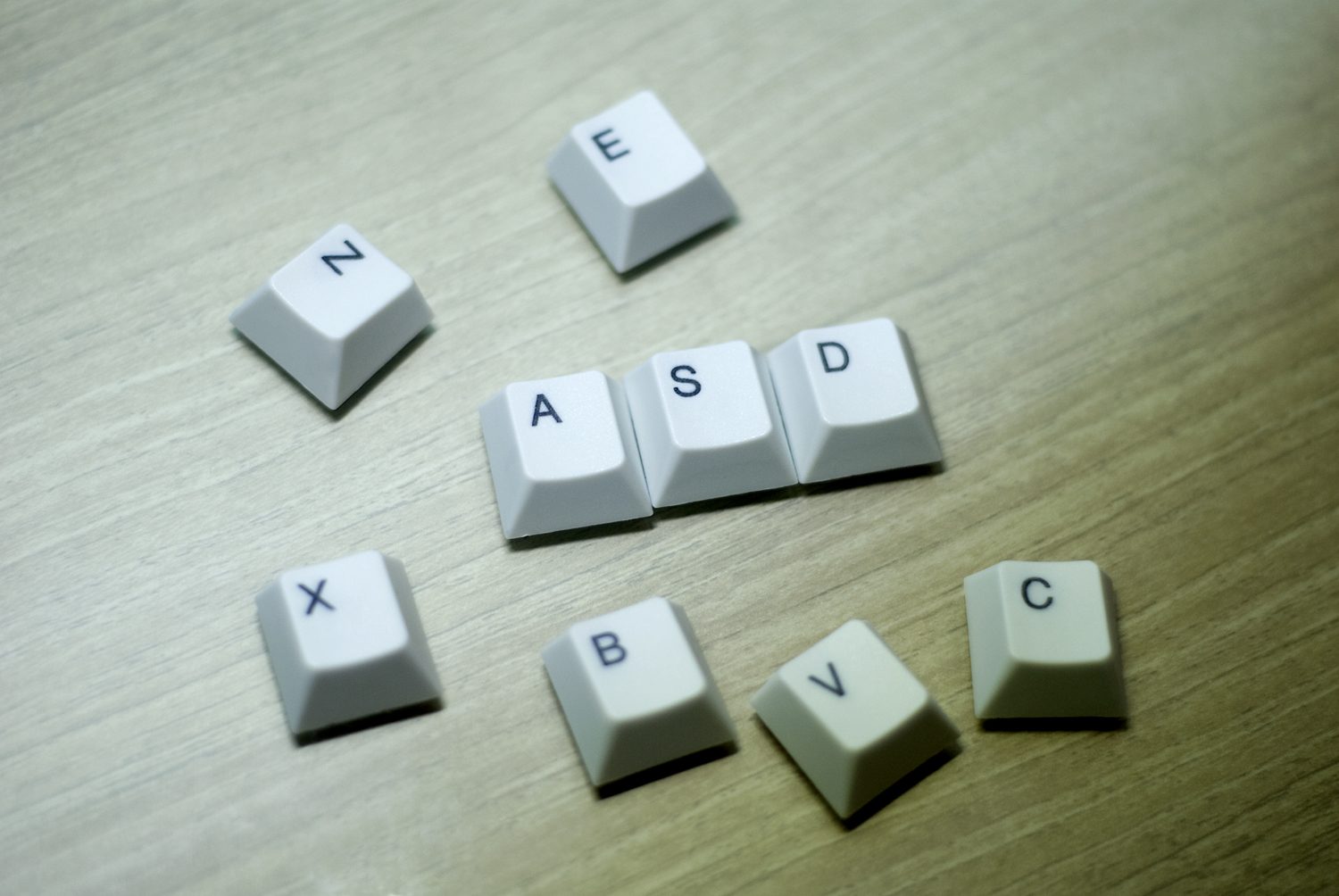 pbt.JPG