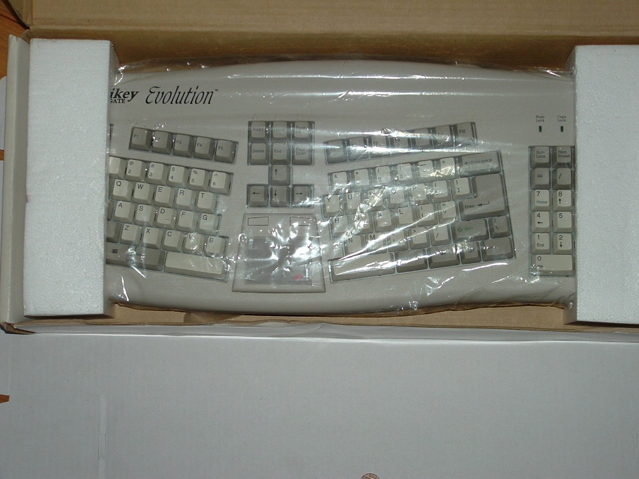 DSCF0185.JPG