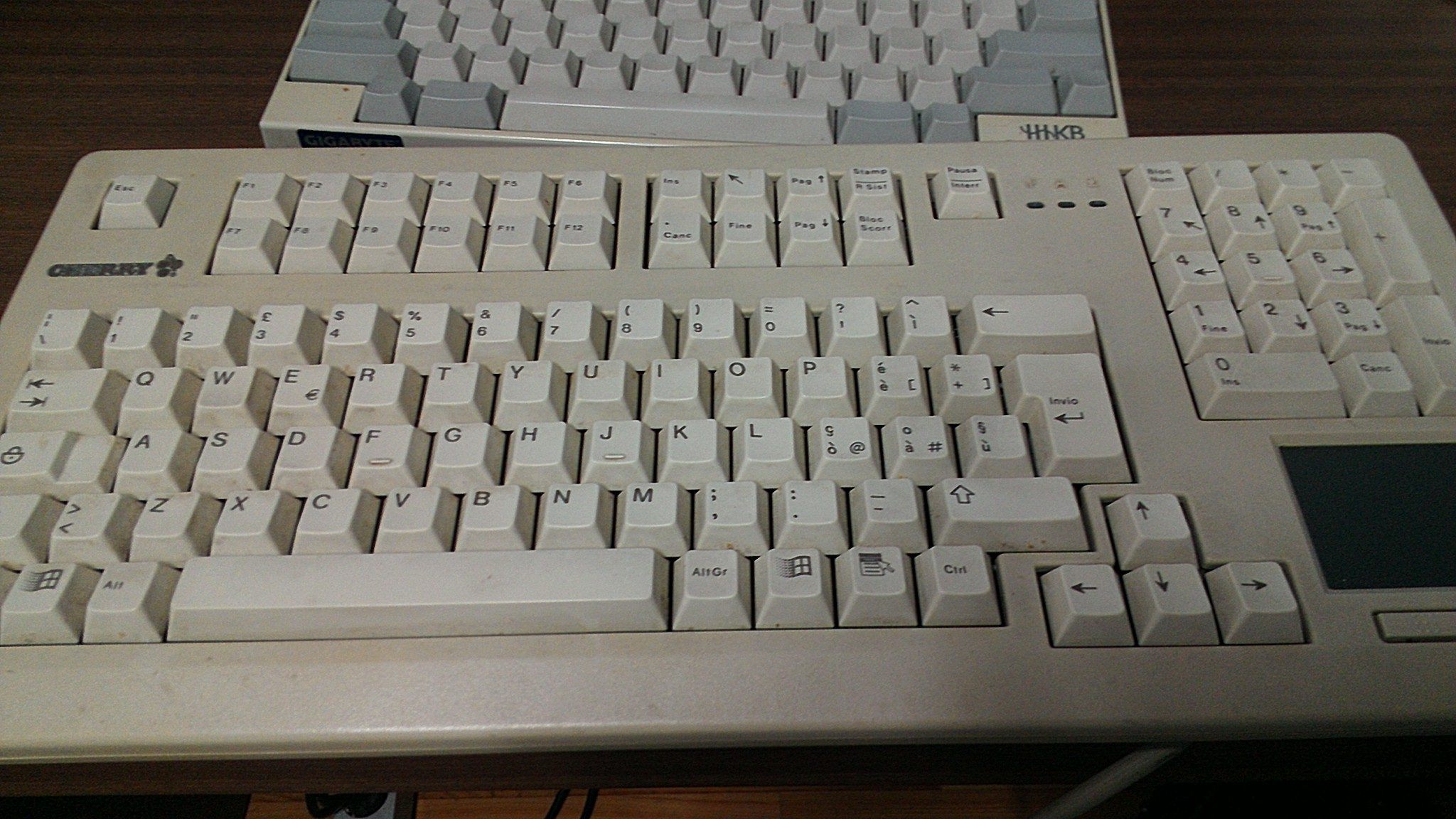 IMAG0055.jpg : 나의 첫번째 체리 IMAG0055.jpg : 나의 첫번째 체리