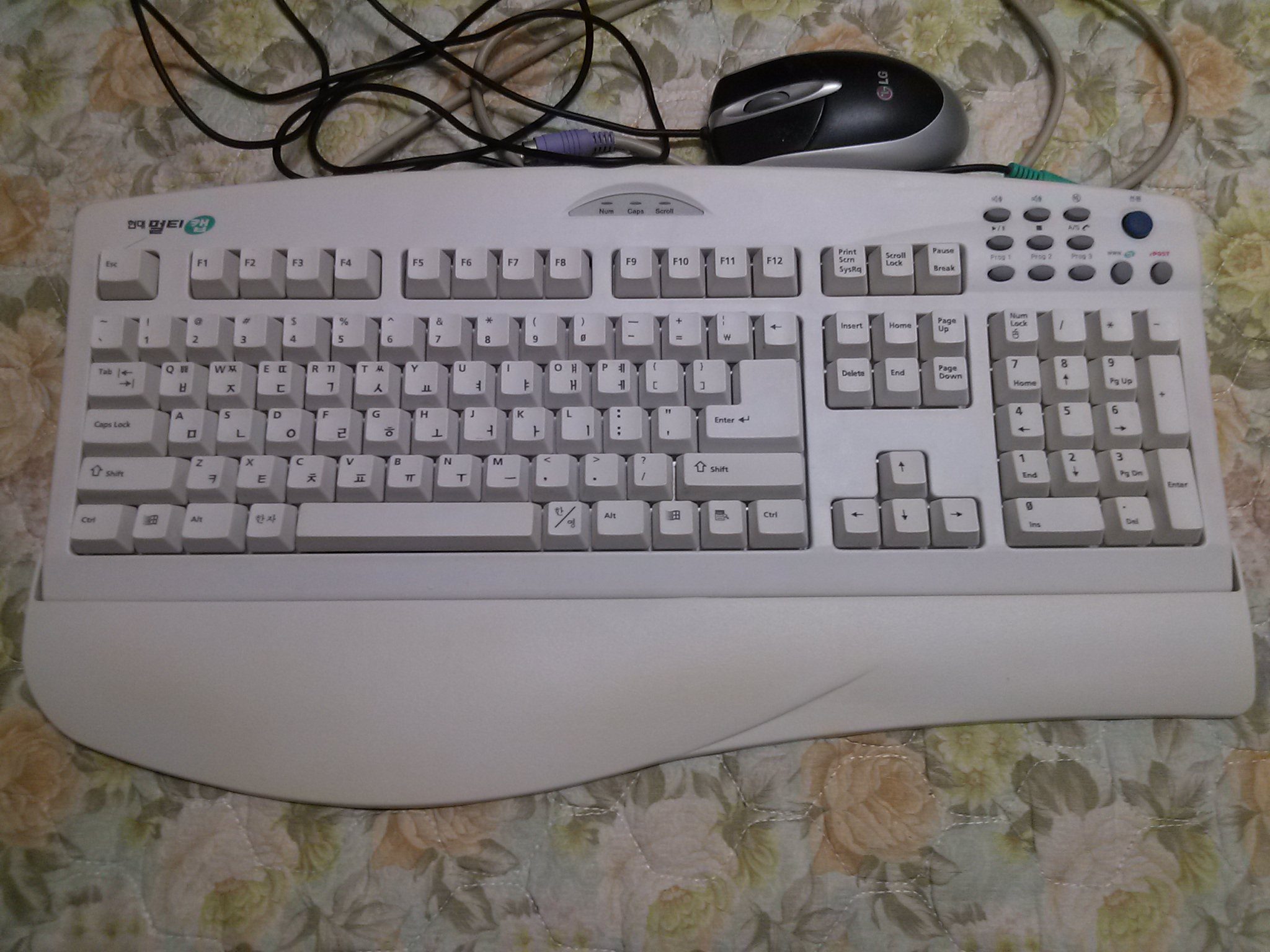z1.jpg : 오래된 키보드 z1.jpg : 오래된 키보드