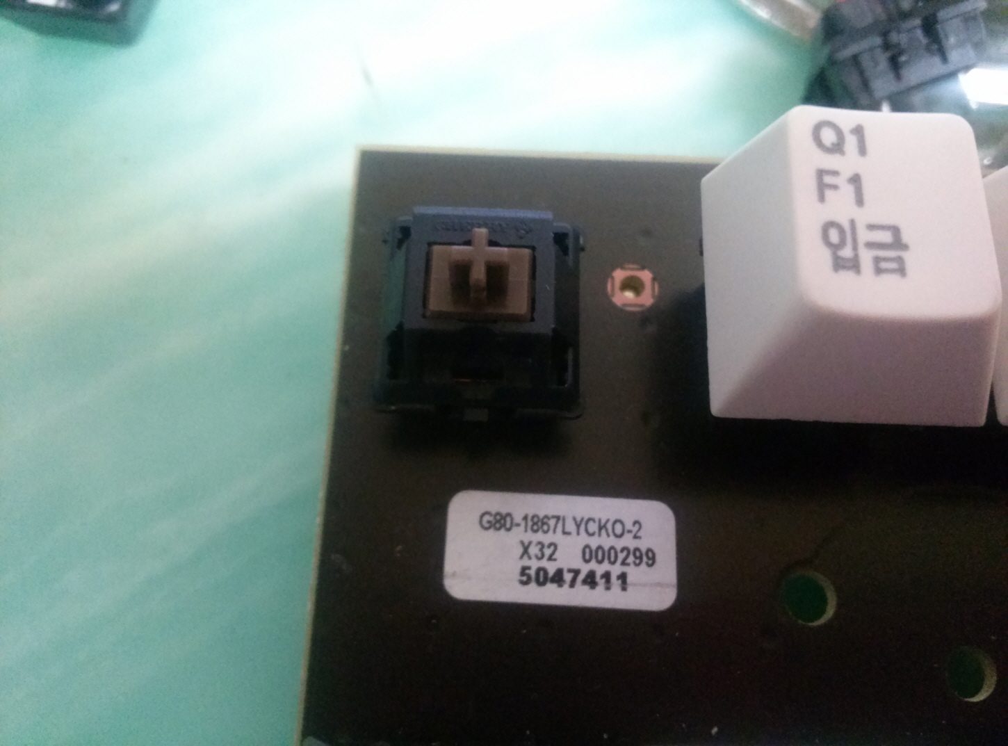 크기변환_CAM00388.jpg