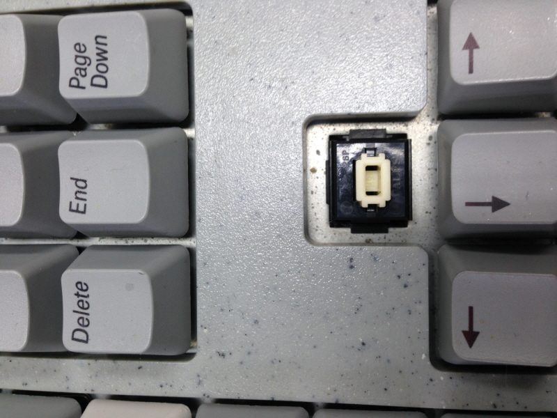 크기변환_IMG_1418.JPG : 오늘 득템 한거 맞죠?