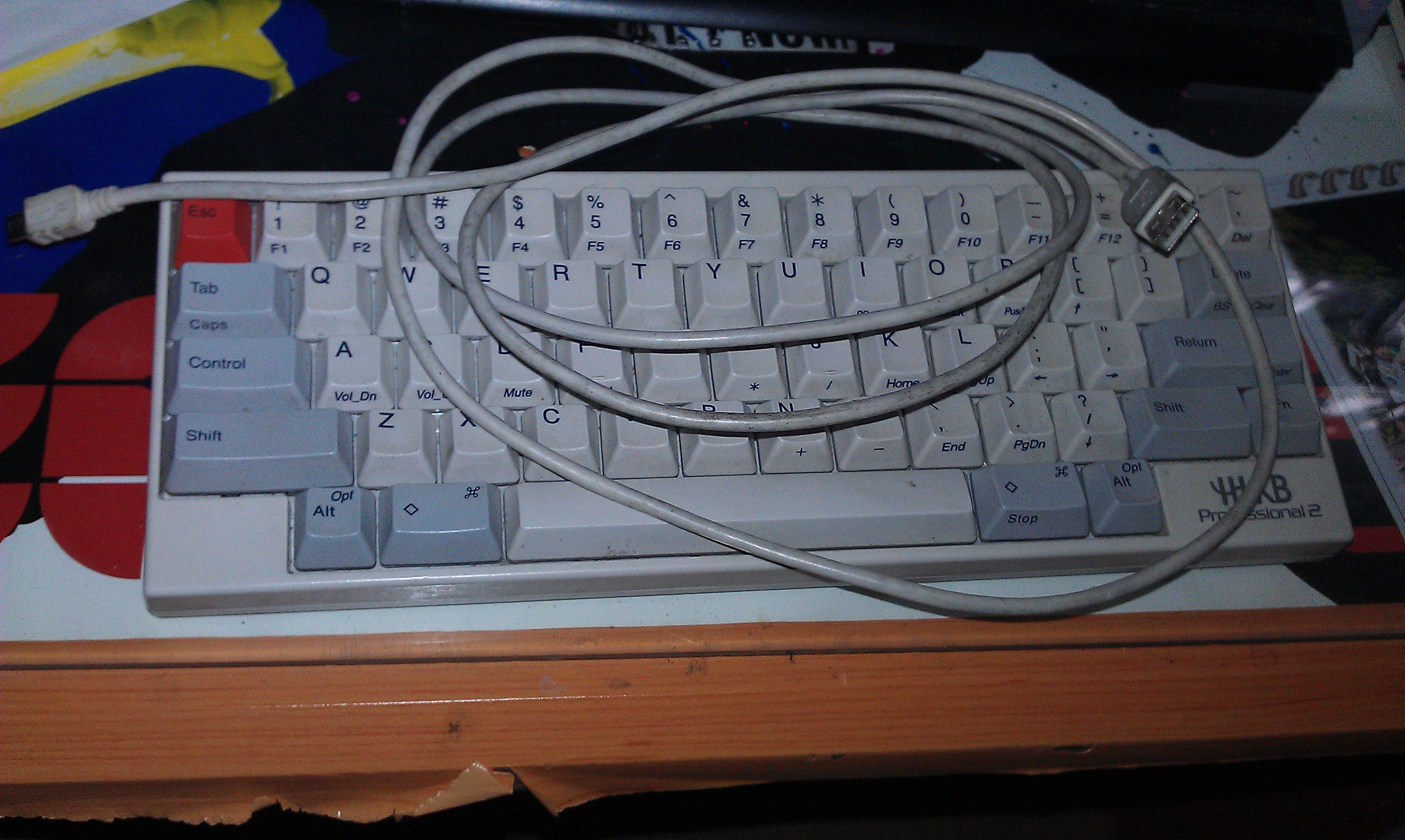 IMAG0206.jpg