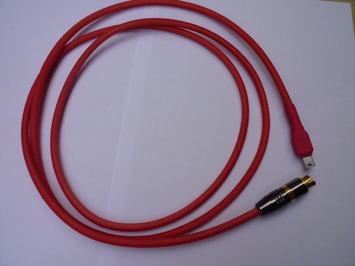 P1050067 (Custom).JPG