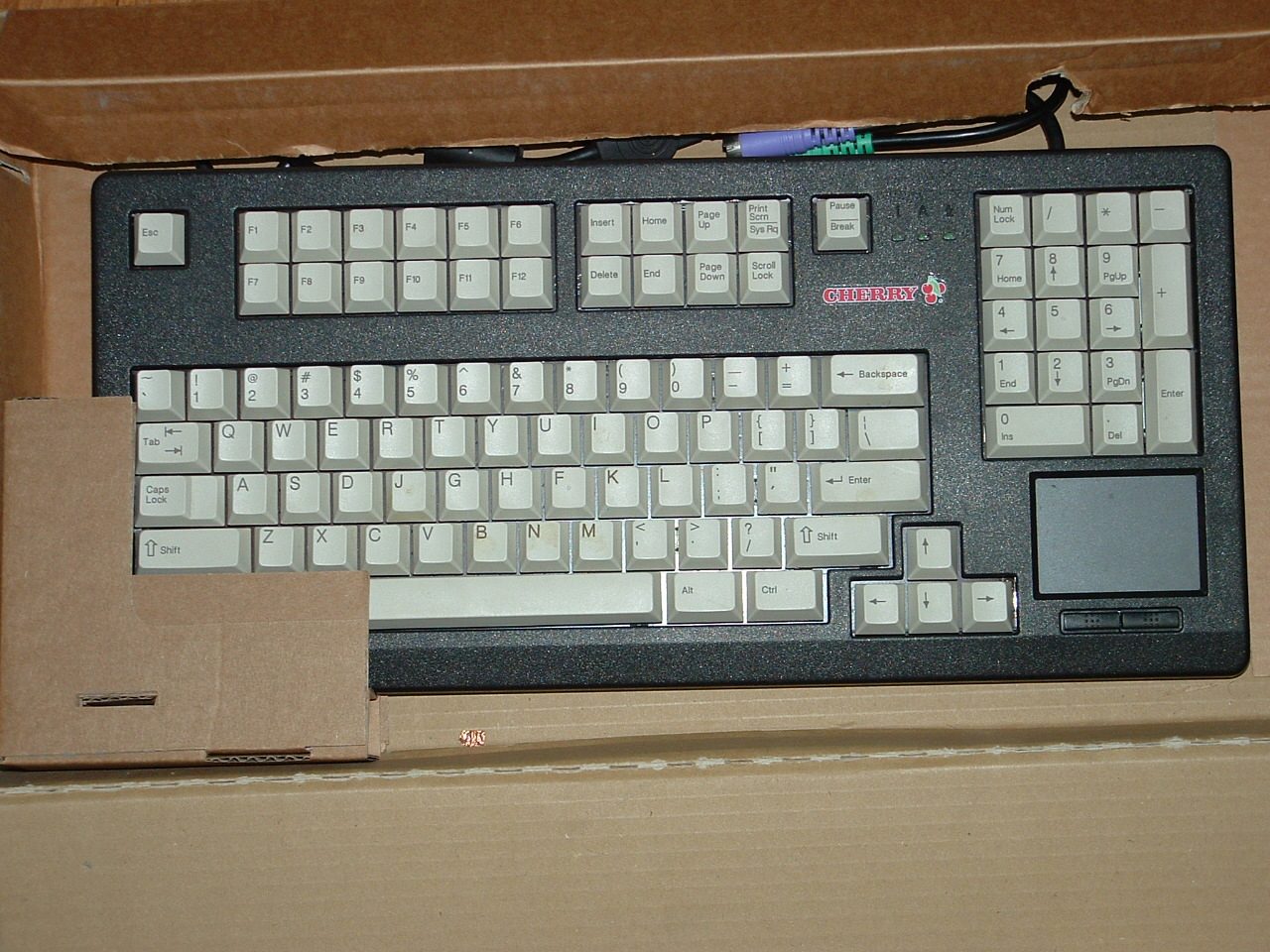 DSCF0197.JPG