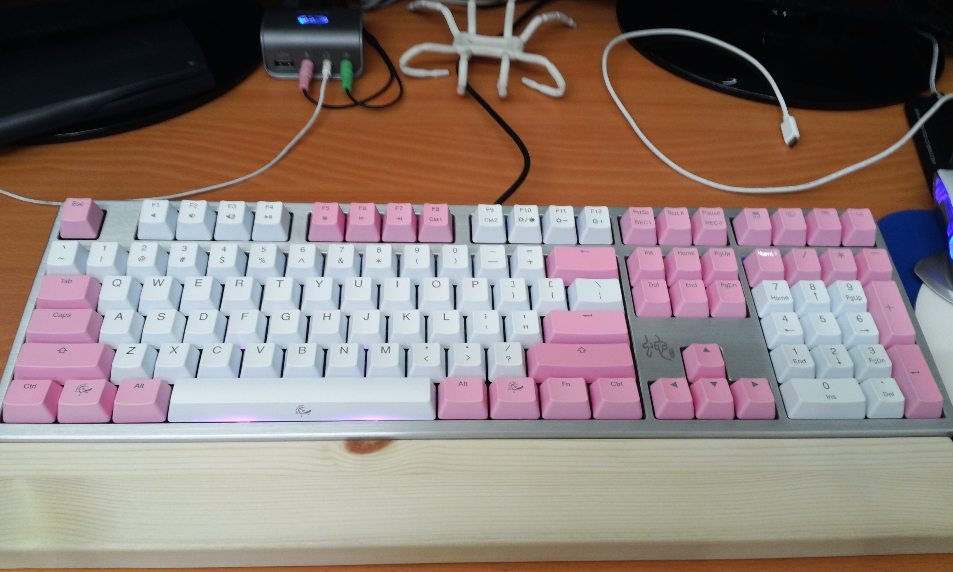 20140310_0930007.jpg