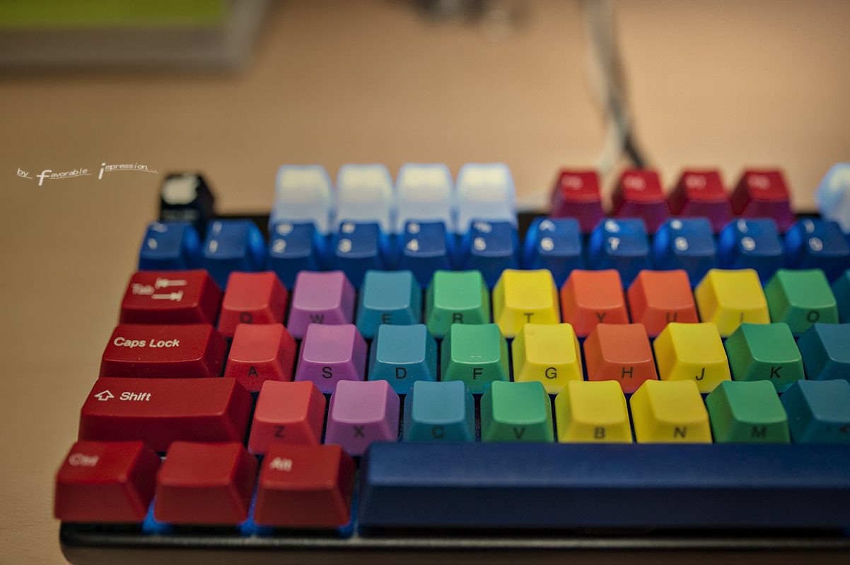 DSC_2349.jpg