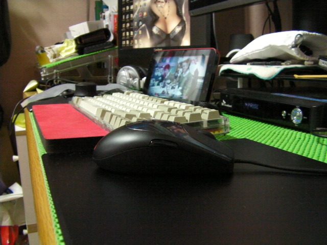 SANY0011.JPG