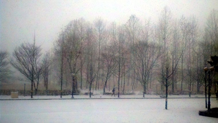 2012-12-05_12-35-24_170.jpg