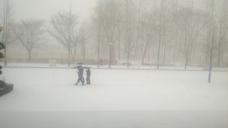 2012-12-05_12-34-33_533.jpg