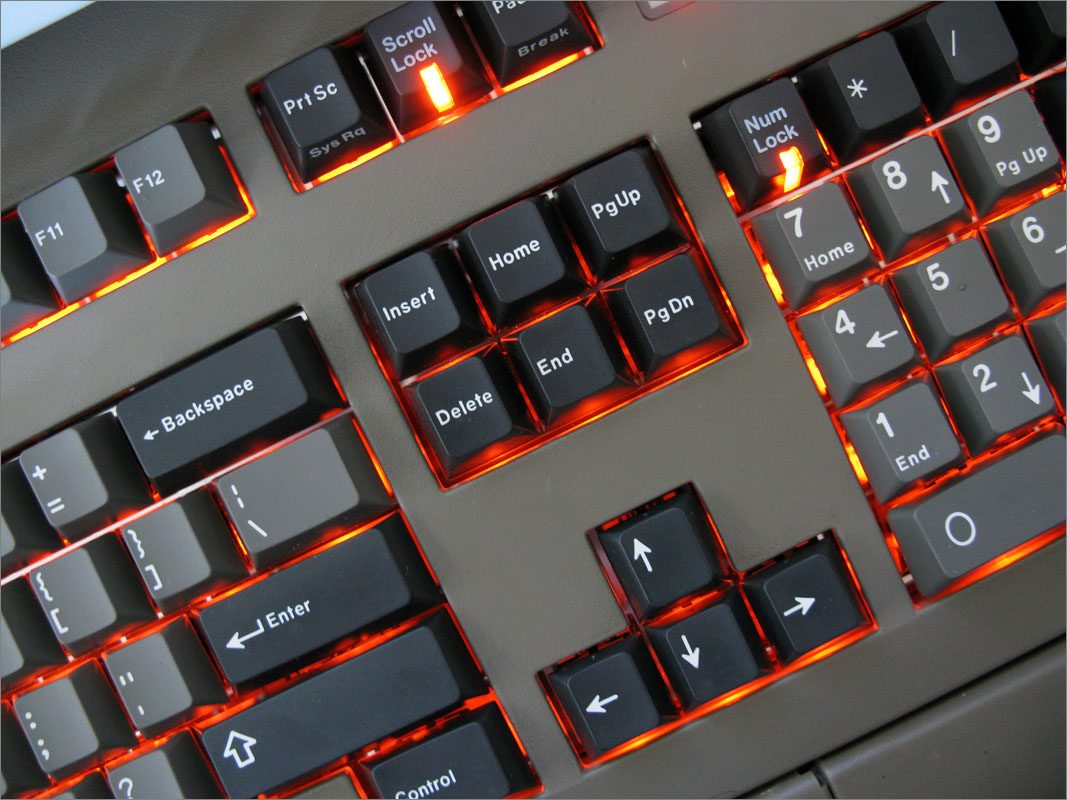 D7.JPG