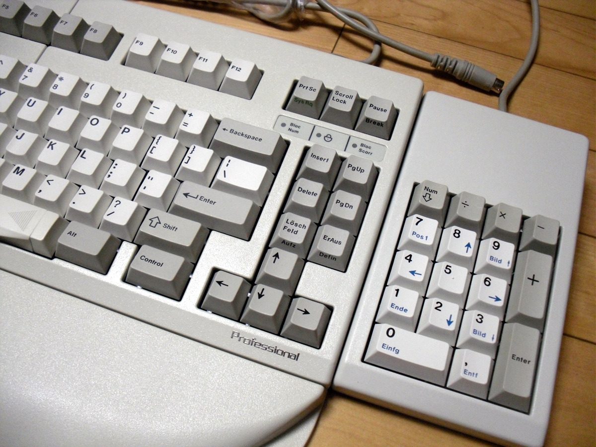SDC10293.jpg