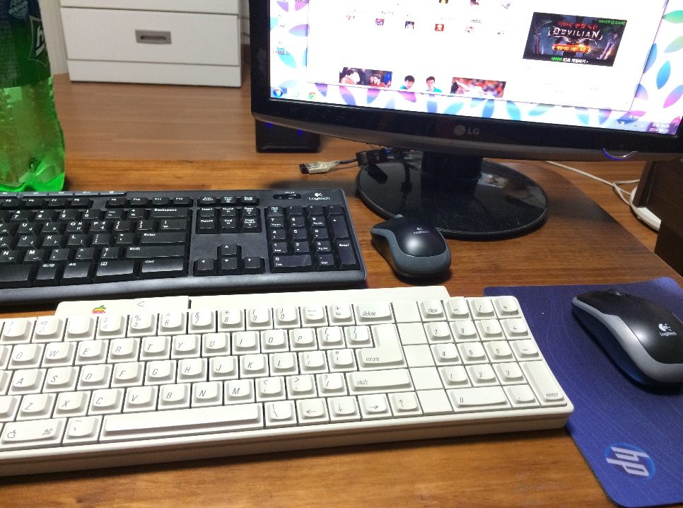 p13.jpg