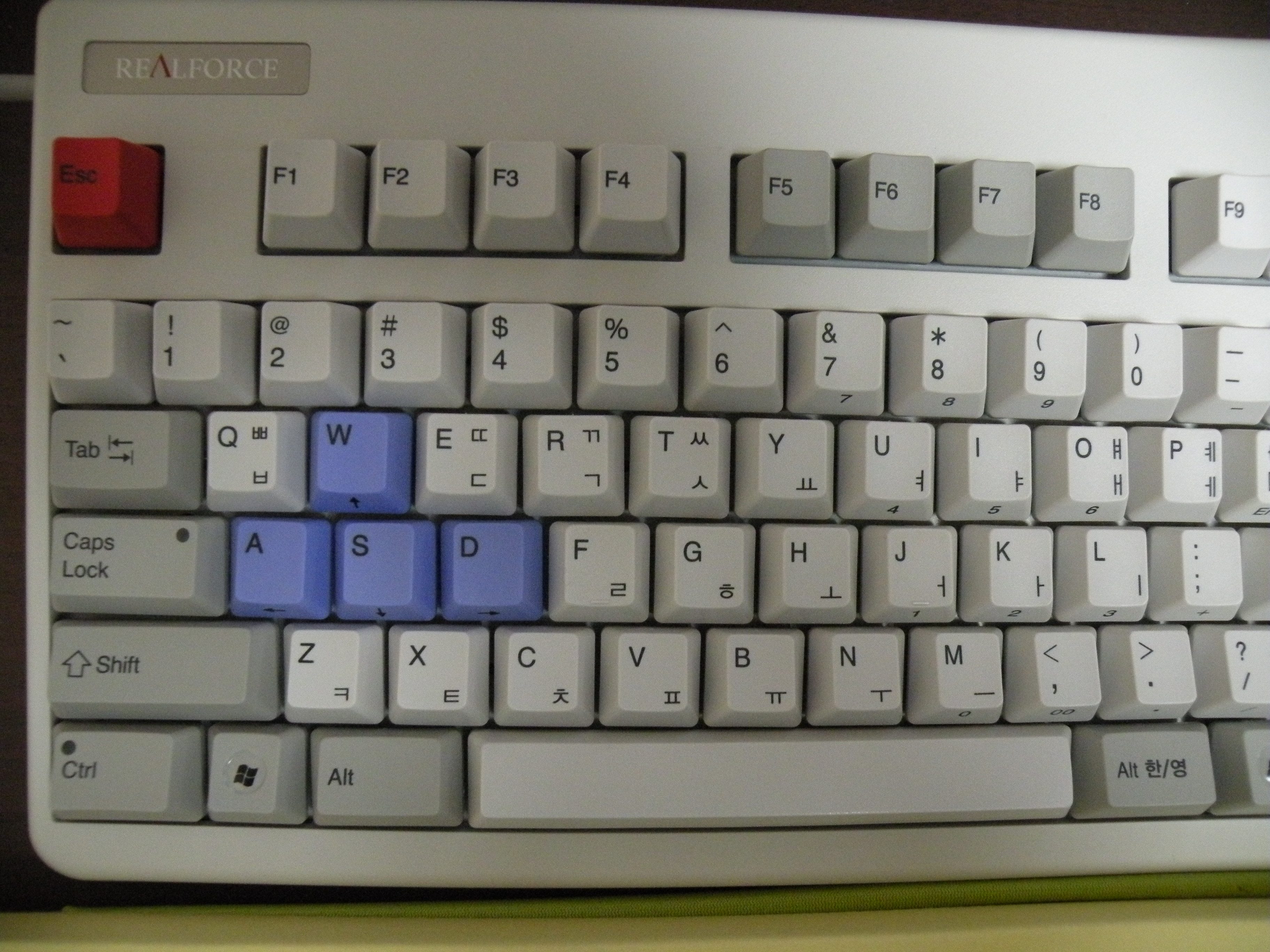 DSCN0655.JPG