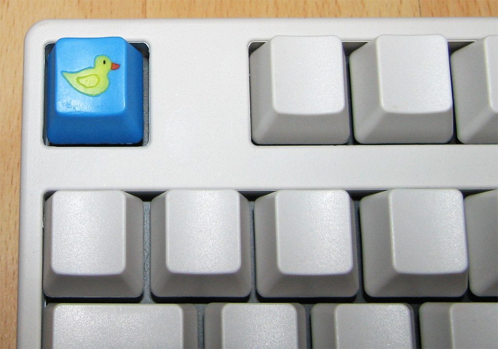 duck1.jpg