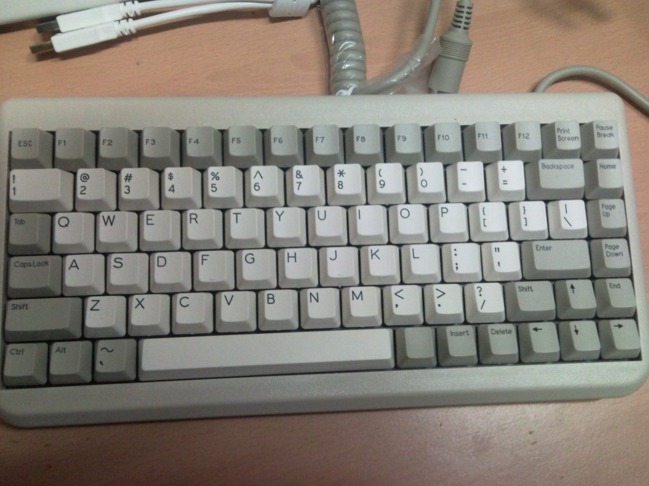 P100111004.jpg