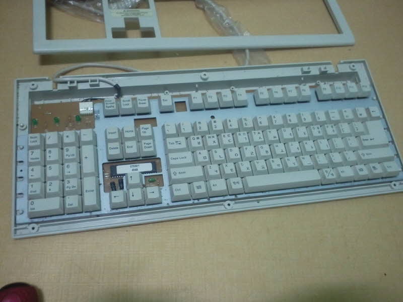 왼손세진02.jpg